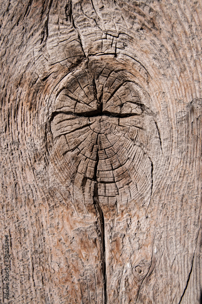 Fototapeta premium wooden board with knot
