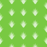 seamless Aloe Vera pattern with special design