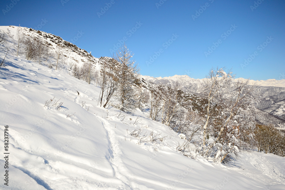 Scenic alpine winter view