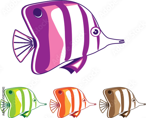 Coral butterfly fish