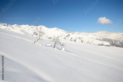 Candid snowy slope © fabio lamanna