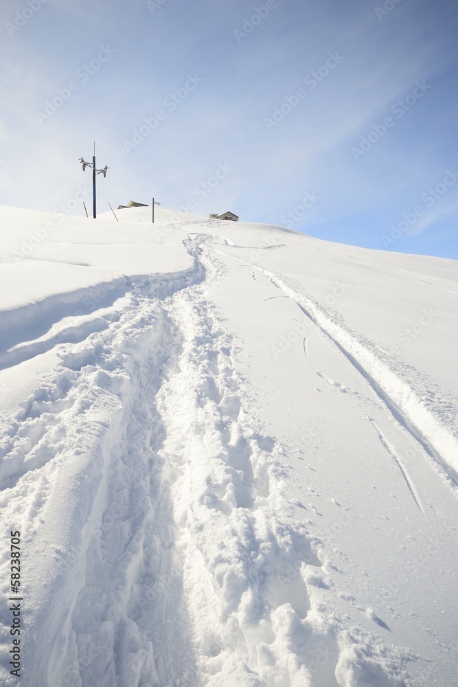 Abandoned ski slope