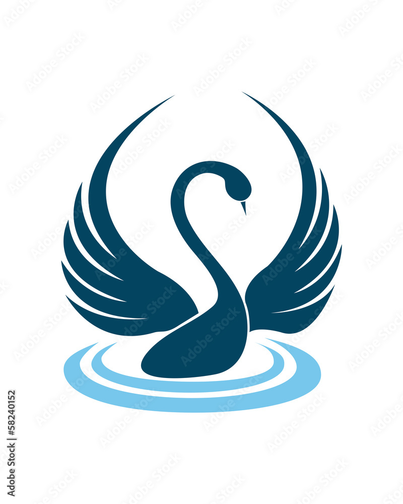 Fototapeta premium Swan on lake