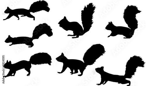 seven squirrel silhouettes on white background
