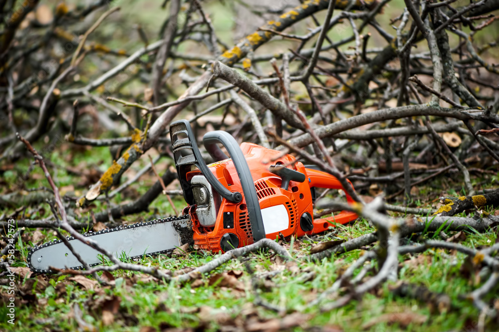 Gasoline professional chainsaw cutting branches