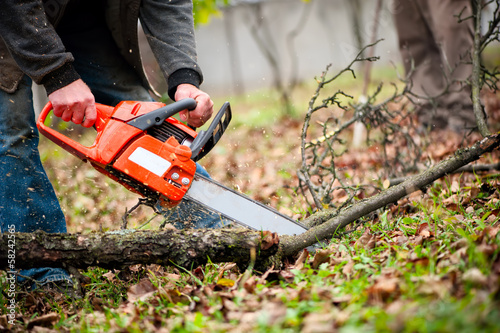 Wallpaper Mural man with gasoline powered chainsaw cutting fire wood from trees Torontodigital.ca