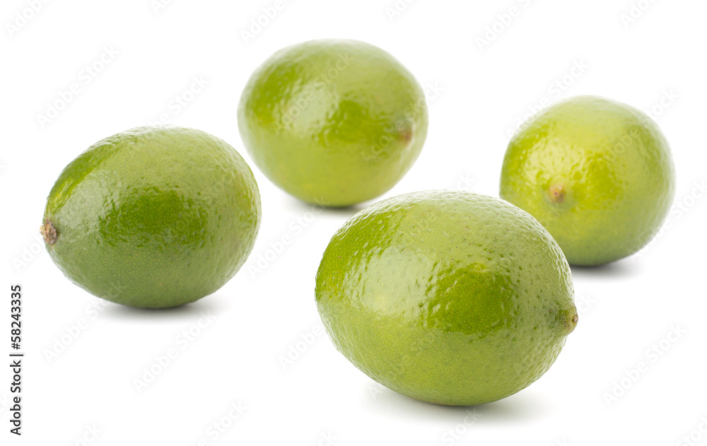 Fresh lime fruit Isolated on white background Fresh lime fruit Isolated on white background