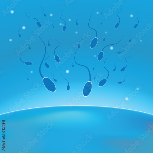 Vector illustration of spermatozoon and egg cell