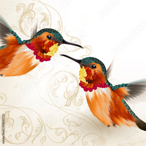 Beautiful vector  humming birds  with ornament