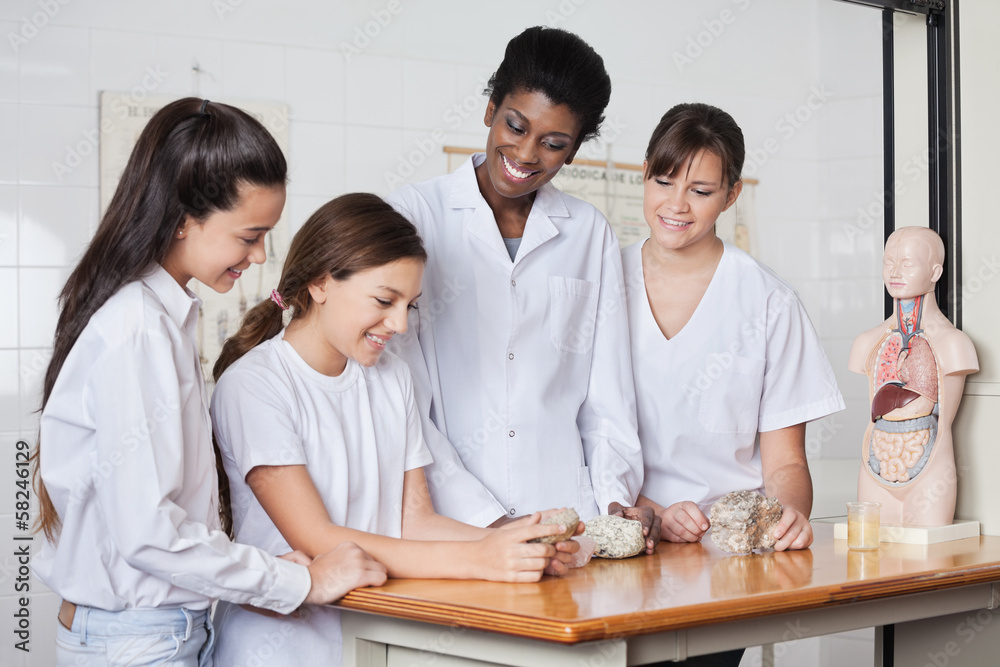 Teenage Schoolgirls With Teacher Analyzing Stones Teenage Schoolgirls With Teacher Analyzing Stones