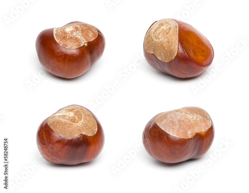 Autumn - Four Chestnuts - Isolated on White