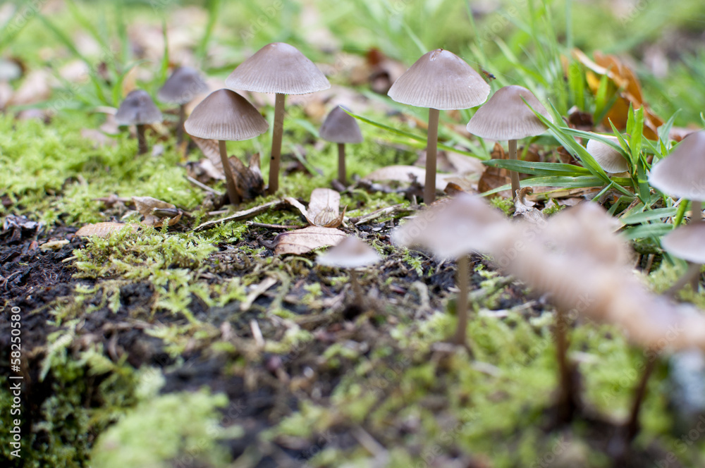 Herbstboten Herbstboten
