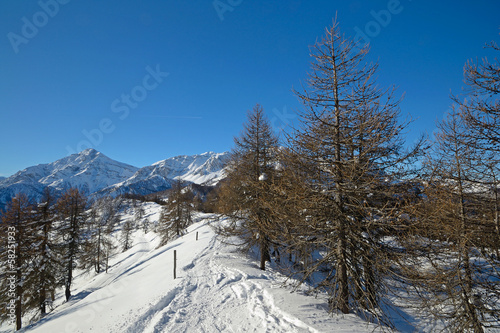 Back country skiing in scenic landscape