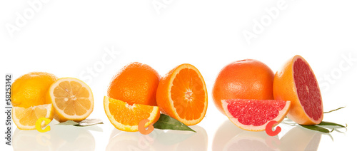Lemon  orange and grapefruit in a section