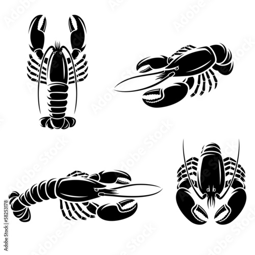 Fotografiet Lobster set. Vector