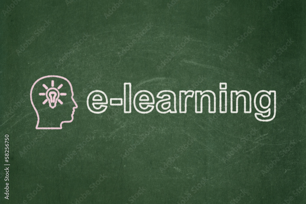 Fototapeta premium Education concept: Head With Light Bulb and E-learning