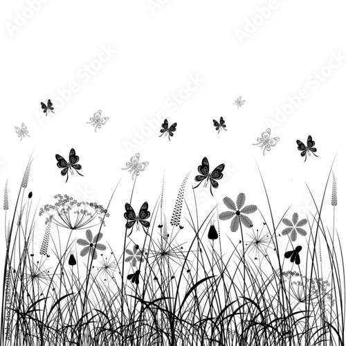 meadow flowers