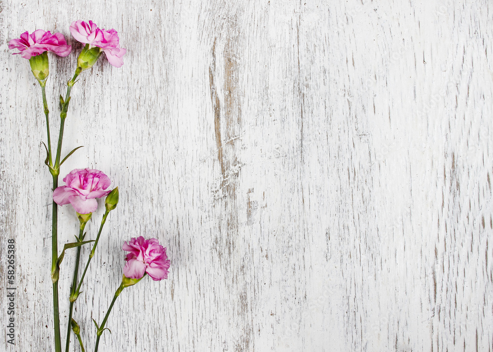 Pink carnation isolated on wooden background