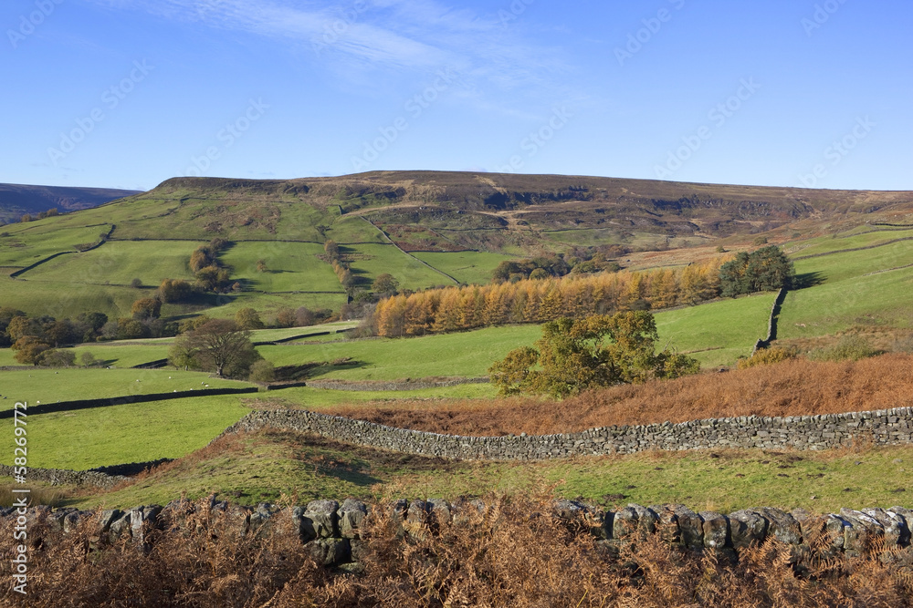 Fototapeta premium north york moors autumn