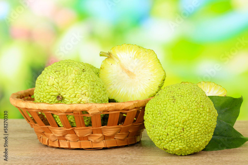 Osage Orange fruits (Maclura pomifera) in basket, photo