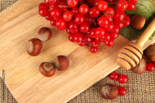 Red berries of viburnum with nuts on sackcloth background photo