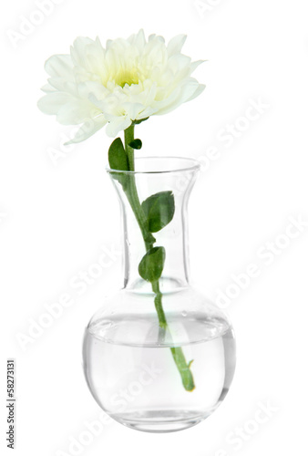 Flower in test-tube isolated on white © Africa Studio
