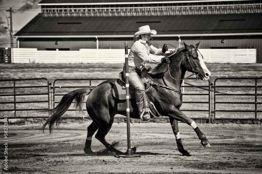 Western Horse Pole Bender in Sepia Western Horse Pole Bender in Sepia