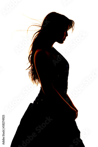 Woman silhouette formal dress close