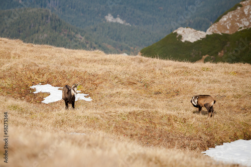 Beautiful Tatry mountains landscape Czerwone Wierchy