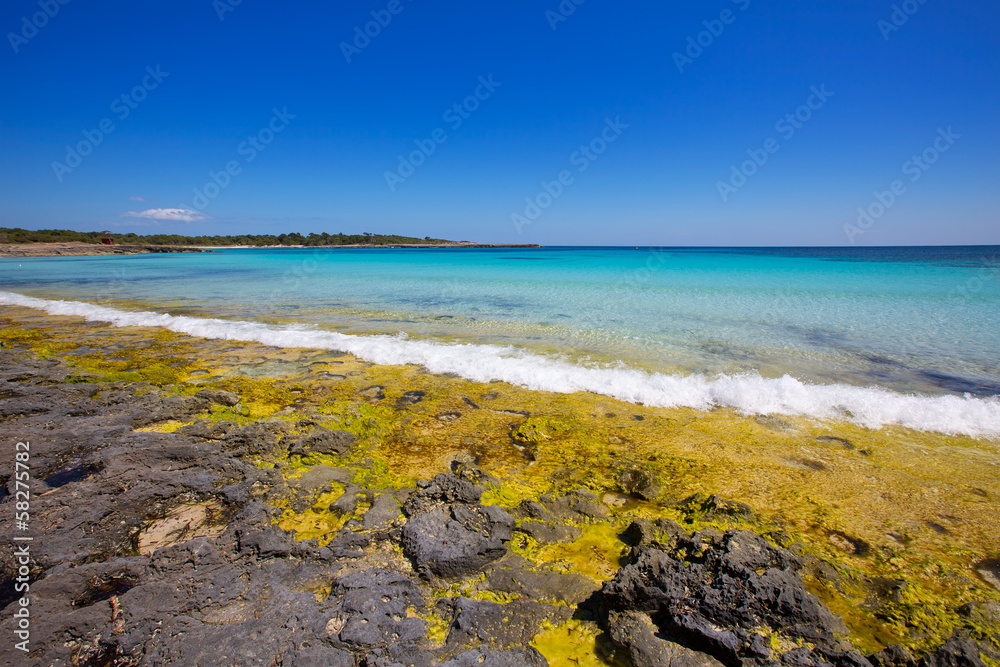 Menorca Son Saura beach in Ciutadella turquoise Balearic