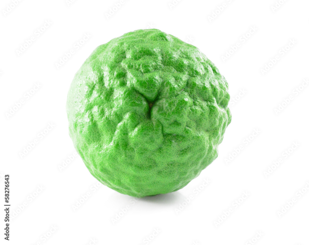 Bergamot[Kaffir lime] isolate on whit background