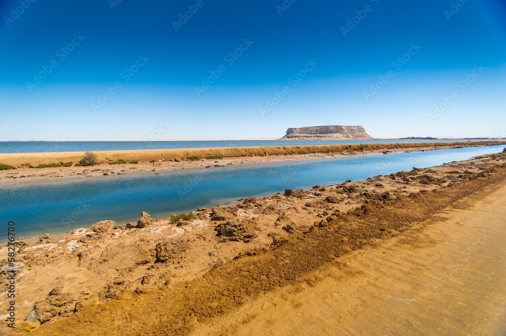 Water channel irrigation in the desert of Egypt