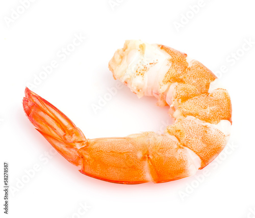 Bild auf Leinwand Shrimp