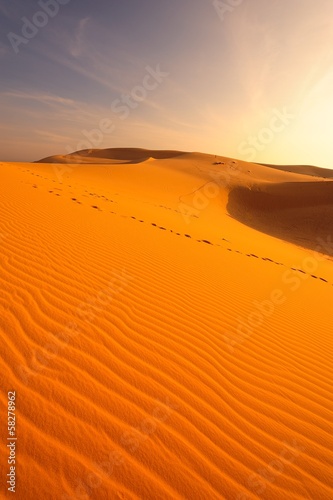 Exotic Endless Desert Landscape