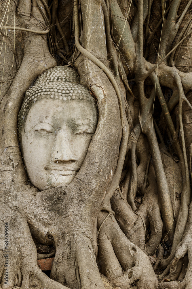 Buddha head in banyan tree at Ayutthaya