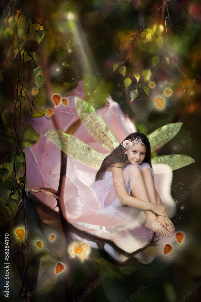 Sweet little fairy