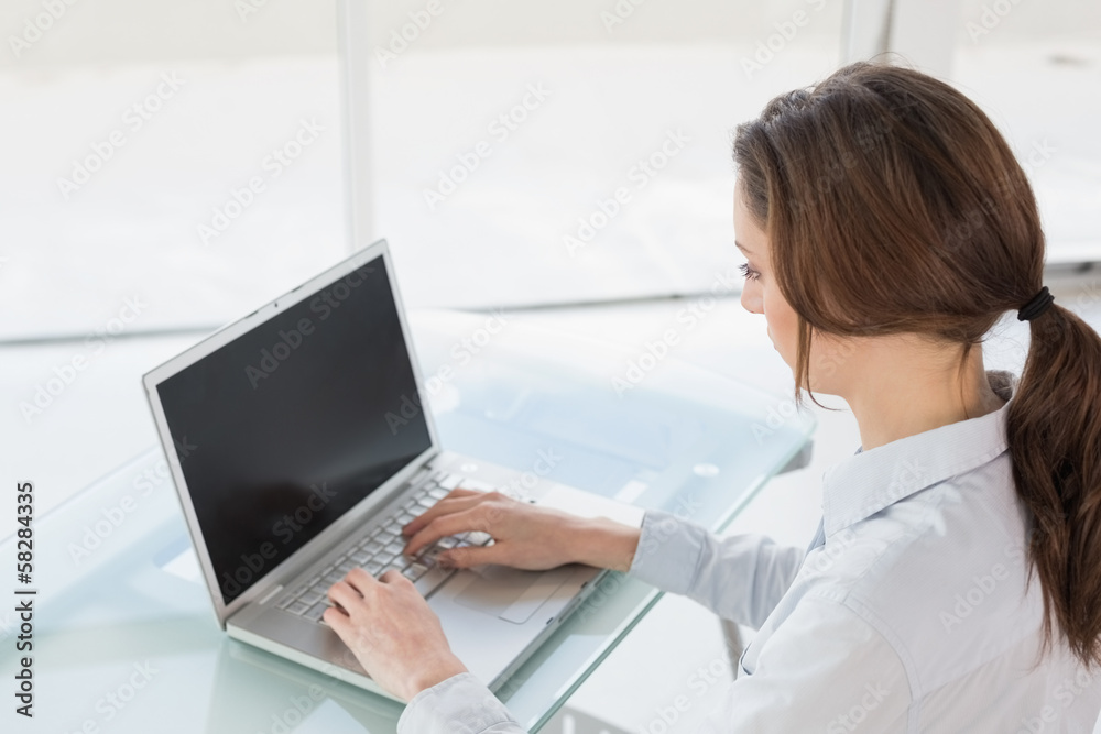 Brown haired businesswoman using laptop in office Brown haired businesswoman using laptop in office