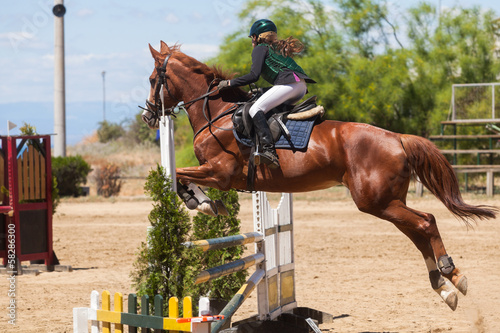 Dressage competitions