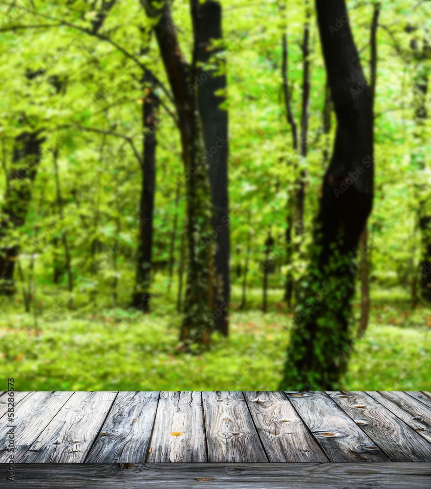 Beautiful forest and wooden floor background Beautiful forest and wooden floor background