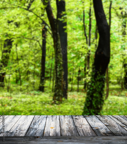 Beautiful forest and wooden floor background