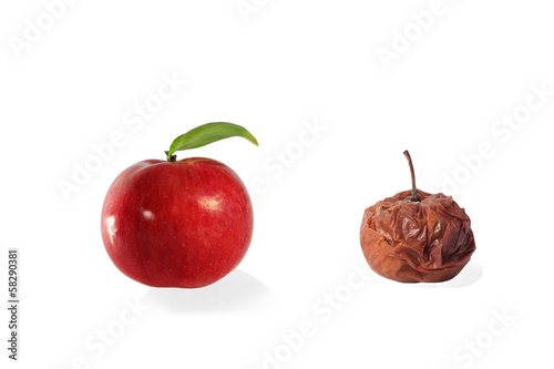 Quadro su tela Fresh and rotten apple isolated on white