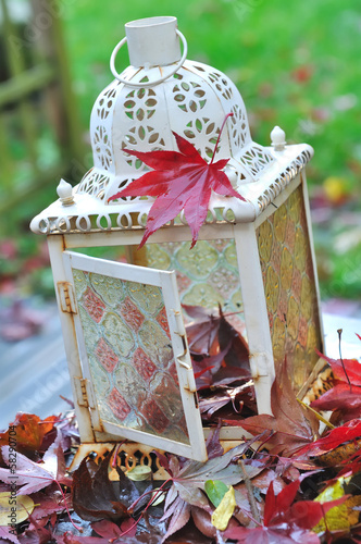 lanterne dans feuilles d'érable