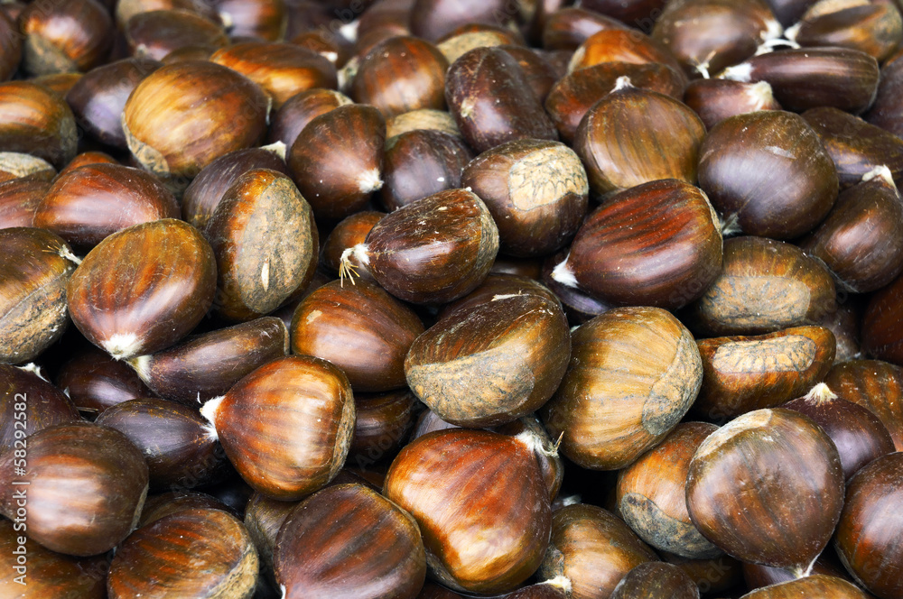 pile of chestnuts