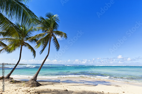 Fototapeta Naklejka Na Ścianę i Meble -  Tropical Beach at Le Moule, Guadeloupe Island