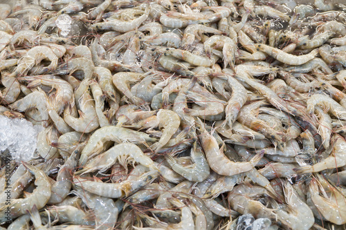 fresh prawns on ice in the market © nipitphand