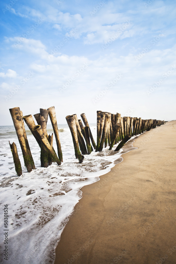 Wooden posts on the beach, Pondicherry, India Wooden posts on the beach, Pondicherry, India