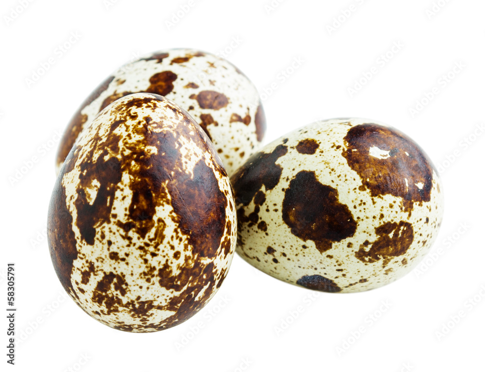 Obraz premium Quail eggs isolated on white
