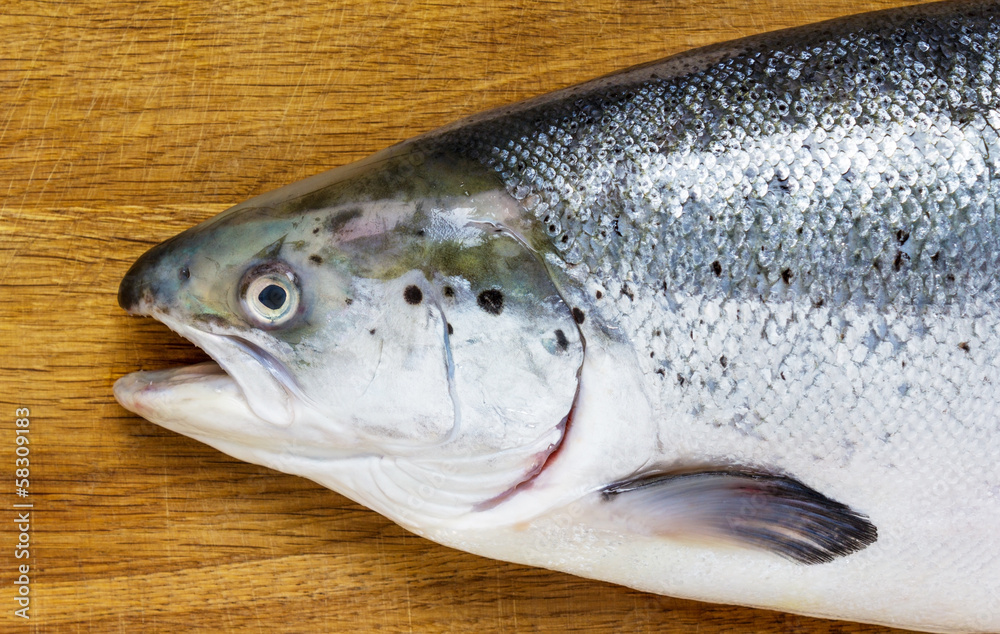 Salmon fish on a wooden surface