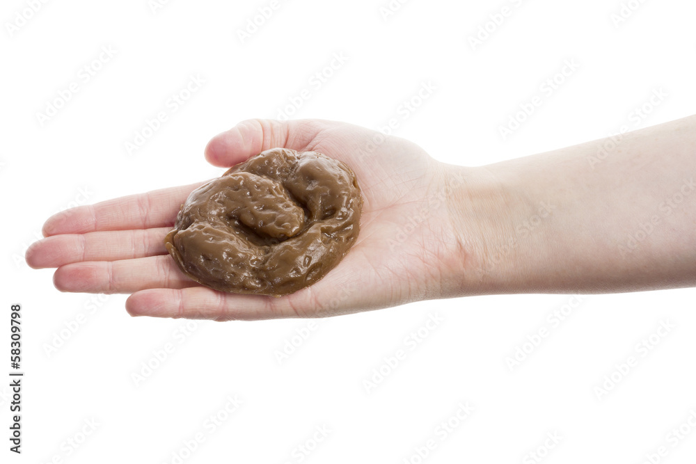 Hand holding fake excrement