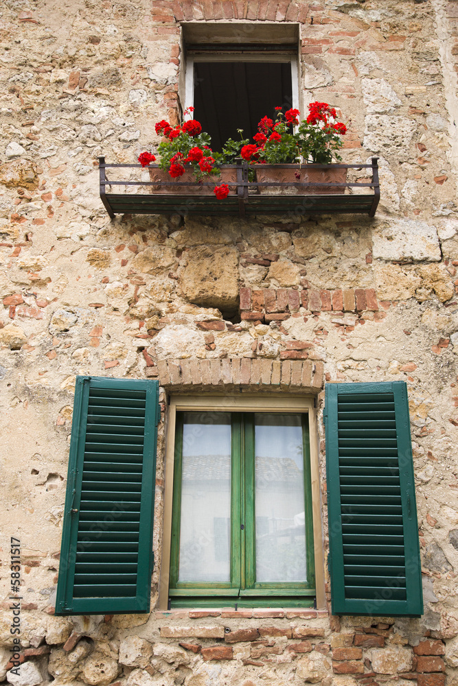 Flowers on display on the balcony of a building, Venice, Veneto, Italy